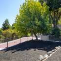 401 Read Drive, Lafayette, CA