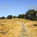 401 Read Drive, Lafayette, CA