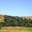 401 Read Drive, Lafayette, CA