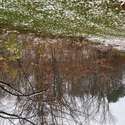 Lot 3 & 4 79th Avenue West, Andalusia, IL. Photo 4 of 12.