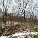 Lot 3 & 4 79th Avenue West, Andalusia, IL. Photo 8 of 12.