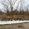 Lot 3 & 4 79th Avenue West, Andalusia, IL. Photo 11 of 12.