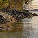 144 Sunset Point Drive, Friday Harbor, WA
