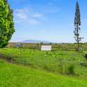 18-4099 N Pszyk Rd, Mountain View, HI