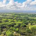 Lot 1022 Oahu Rd, Pahoa, HI