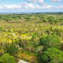 Lot 1022 Oahu Rd, Pahoa, HI