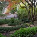42 Anson Street, Charleston, SC