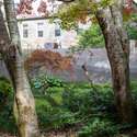 42 Anson Street, Charleston, SC