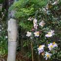 42 Anson Street, Charleston, SC