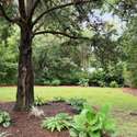 1325 Saint Clair Drive, Charleston, SC