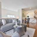 20 Marquis Avenue, Etobicoke, ON
