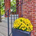20 Marquis Avenue, Etobicoke, ON