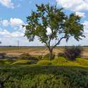 5435 Box R Ranch Rd, Vacaville, CA