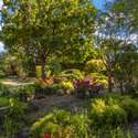 5435 Box R Ranch Rd, Vacaville, CA