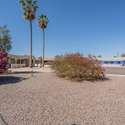 Featuring lush desert flora, including a vibrant bougainvillea and towering palms, this backyard offers a picturesque setting. The combination of greenery and open space provides a perfect balance of beauty and functionality.