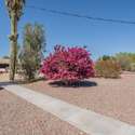 A welcoming concrete path winds through this thoughtfully landscaped yard, guiding you past native desert plants. This inviting outdoor space enhances the home s curb appeal and provides a warm, welcoming entry.