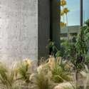 Soft desert grasses and natural textures accent the modern concrete facade. This outdoor detail reflects the balance of low-maintenance landscaping and bold architectural vision.