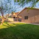 Natural light and soft shade define this serene backyard setting, complete with privacy block fencing and a generous lawn space. Enjoy the Arizona lifestyle in a backyard designed for both play and relaxation.