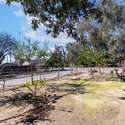 11667 Francis Way, Chino, CA