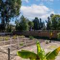11667 Francis Way, Chino, CA