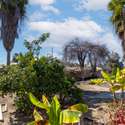 11667 Francis Way, Chino, CA