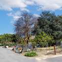 11667 Francis Way, Chino, CA