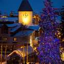 Mountain Haus Residence 106, Vail, CO