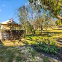 10633 Wayridge Dr, Montgomery Village, MD