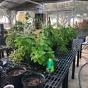 3401 W County Rd 180, Midland, TX