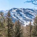 645 Willoughby Way, Aspen, CO