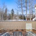 645 Willoughby Way, Aspen, CO