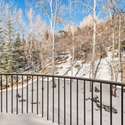 645 Willoughby Way, Aspen, CO