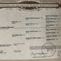 Brianne Glick Performace Horses aka BG, Leo Available Private Treaty & Hawk is Sold, Weatherford, TX