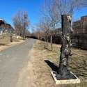 2625 3Rd St NE, 105, Washington, DC