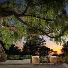 Photo of 327 Pine Needles Drive