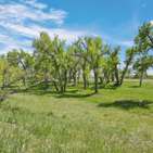 Photo of Bijou Creek Ranch