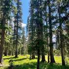 Photo of Lot 38 FS 627 Hope Lake Road
