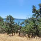 Photo of 2288 Cove View Dr, & 36 More Lots