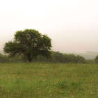 Photo of Lake Nocona Ranch