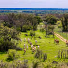 Photo of Ford Justeson Hunting Ranch