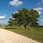 Photo of Turkey Creek Ranch