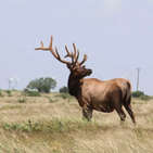 Photo of Barbell Ranch