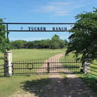 Photo of Tucker Ranch