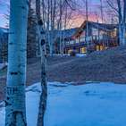 Photo of 57 Saddleback