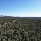 Photo of 10 Acre Tracts Gonzales Road