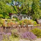 Photo of 260 Geysers rd