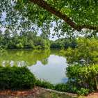 Photo of 9 Lake Village Drive