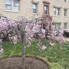 Photo of 2625 3Rd St NE, 105