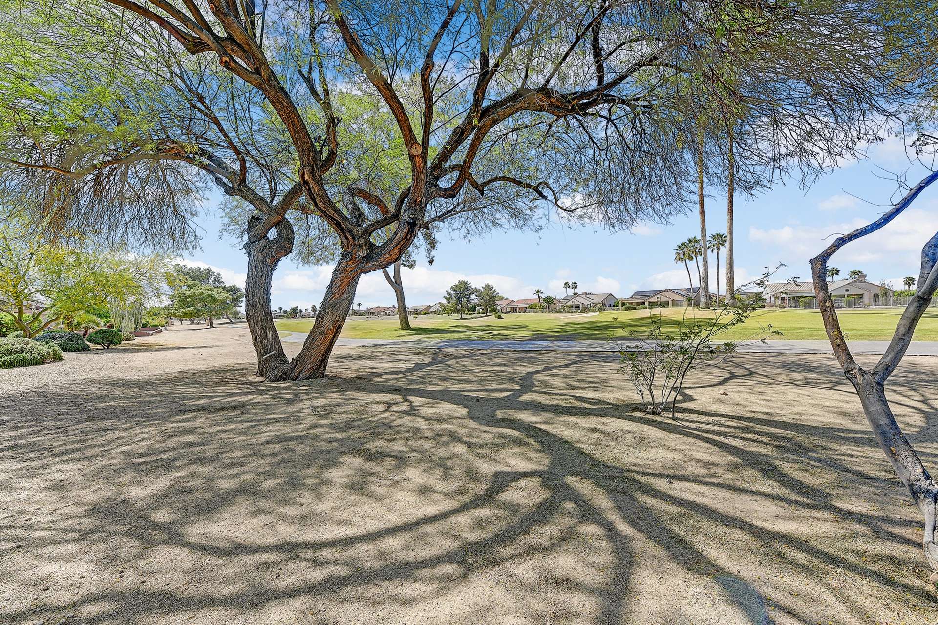 28 of 35. Step out to shaded serenity and sweeping views of the lush green fairway. A desert oasis right outside your back door, framed by picturesque native trees.