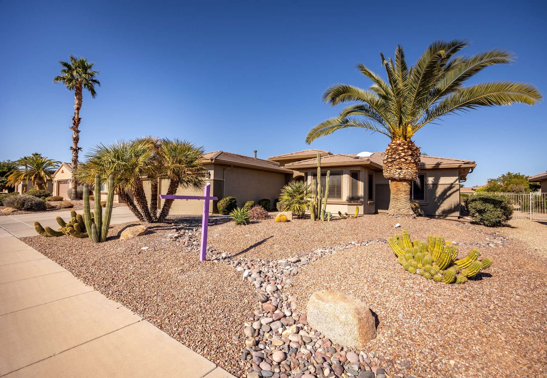 1 of 13. This eye-catching front yard features mature palm trees, sculpted desert plants, and decorative rock offering timeless curb appeal in the heart of Surprise, AZ. Perfect for renters looking for low-maintenance beauty.